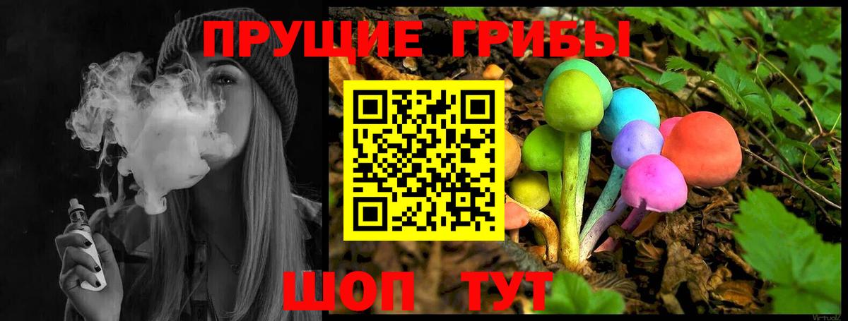 Ливны  Псилоцибиновые грибы GOLDEN TEACHER  Вход с VPN 